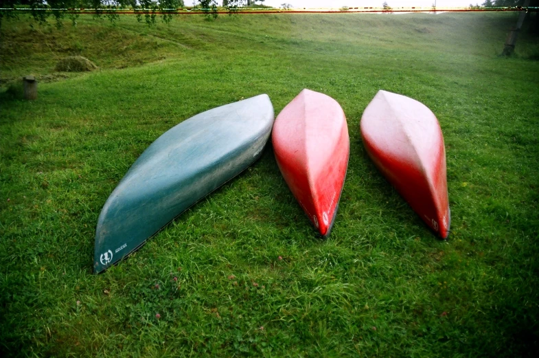 three surf boards sitting in the grass near each other