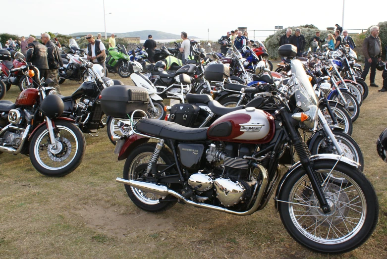 motorcycles parked in rows on grass near buildings