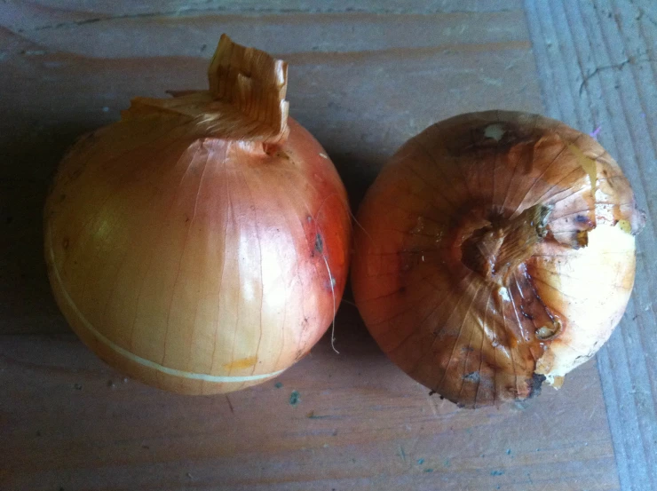 two onions sit on the floor next to each other