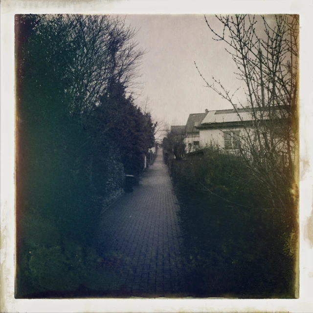 the house has been built near trees on both sides of the walkway