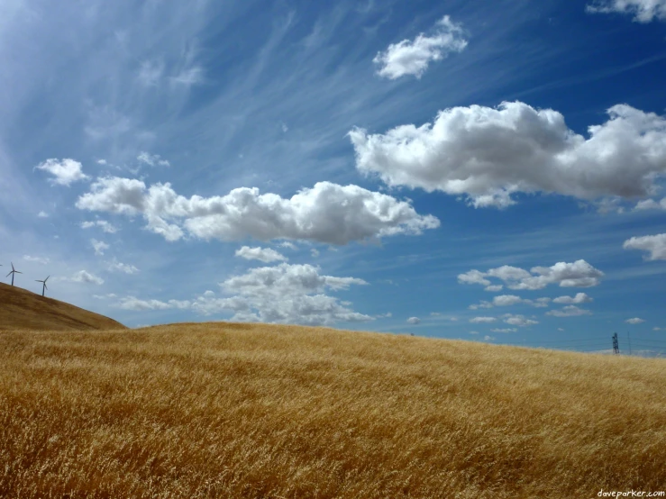 large field with a windmill in the distance on a clear day