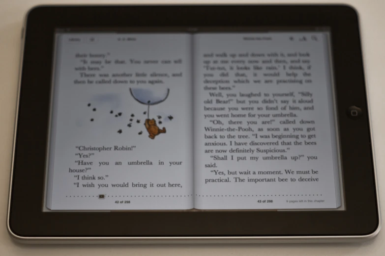a computer screen showing an open book