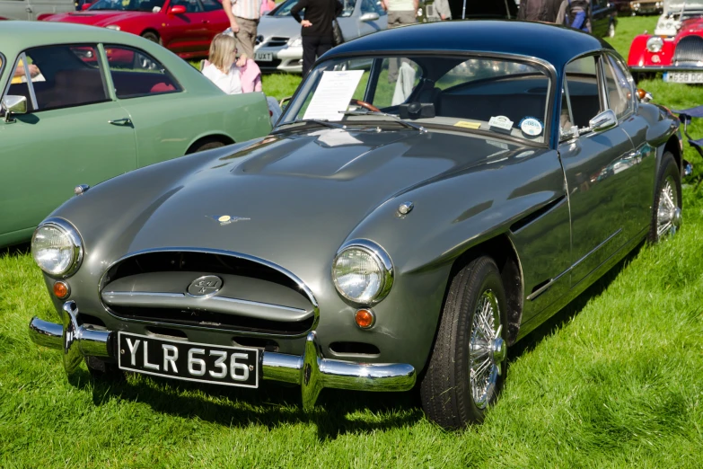 a black car sits on a grassy lawn next to others