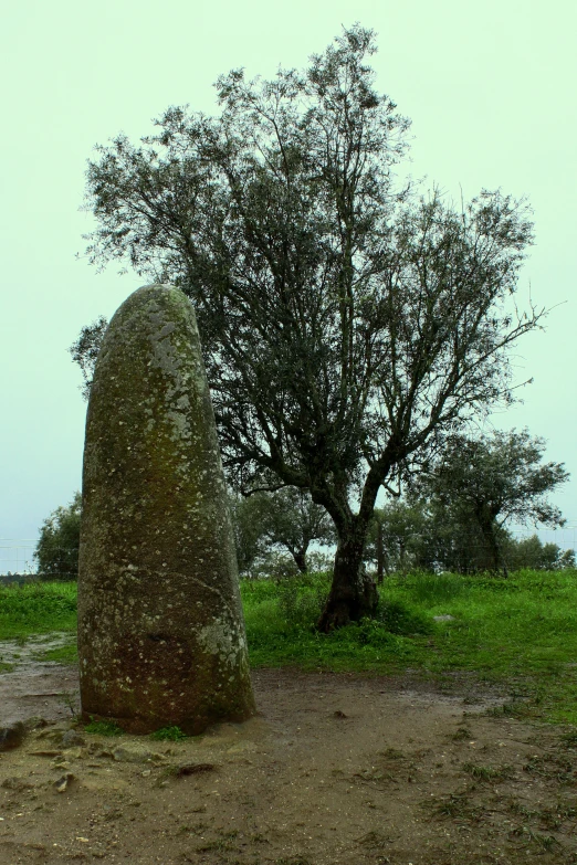 the large stone is surrounded by small trees