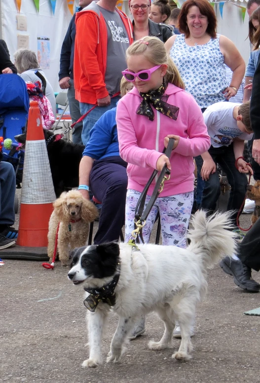 two little girls on the road with their dogs