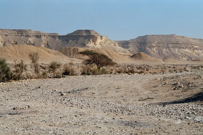 a desert landscape of large rocky mountains, with a road between the bushes