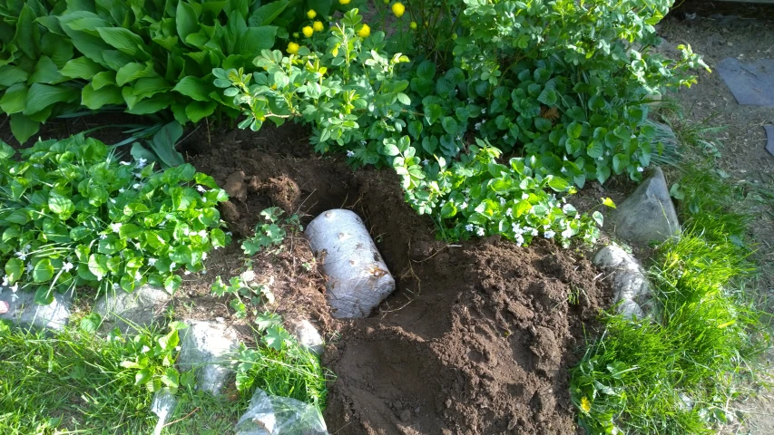 a large pile of dirt next to a couple of plants