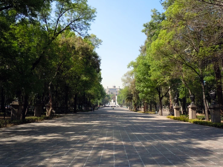 a wide driveway with trees and a clock on the side