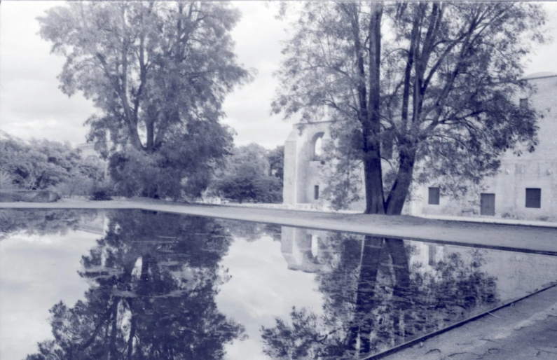 an old po of trees reflecting in a pool