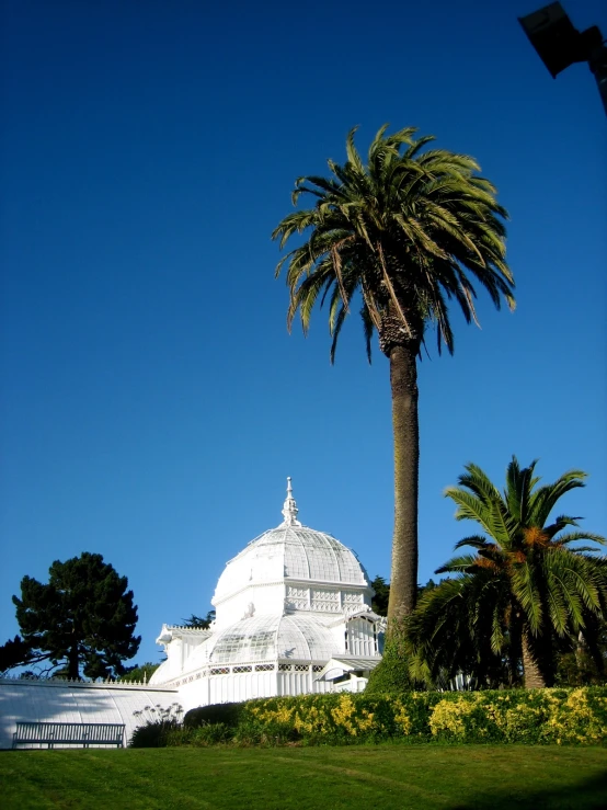 a white house in the distance near palm trees and a green field