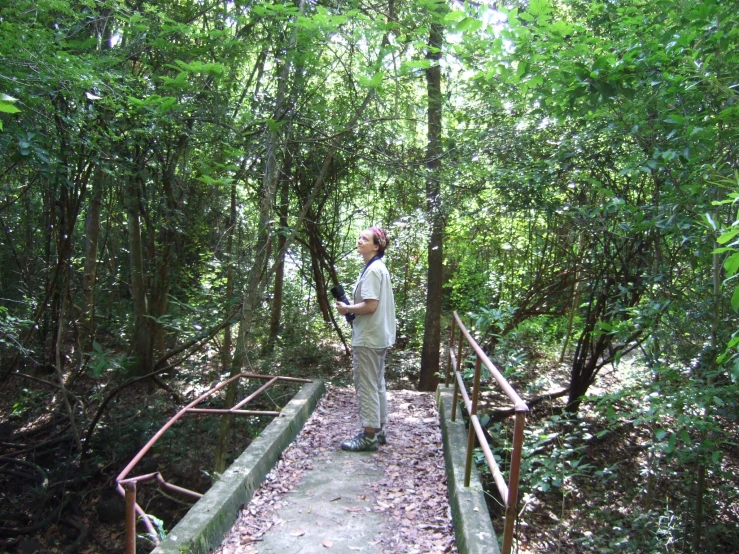 a person stands on a pathway in the woods