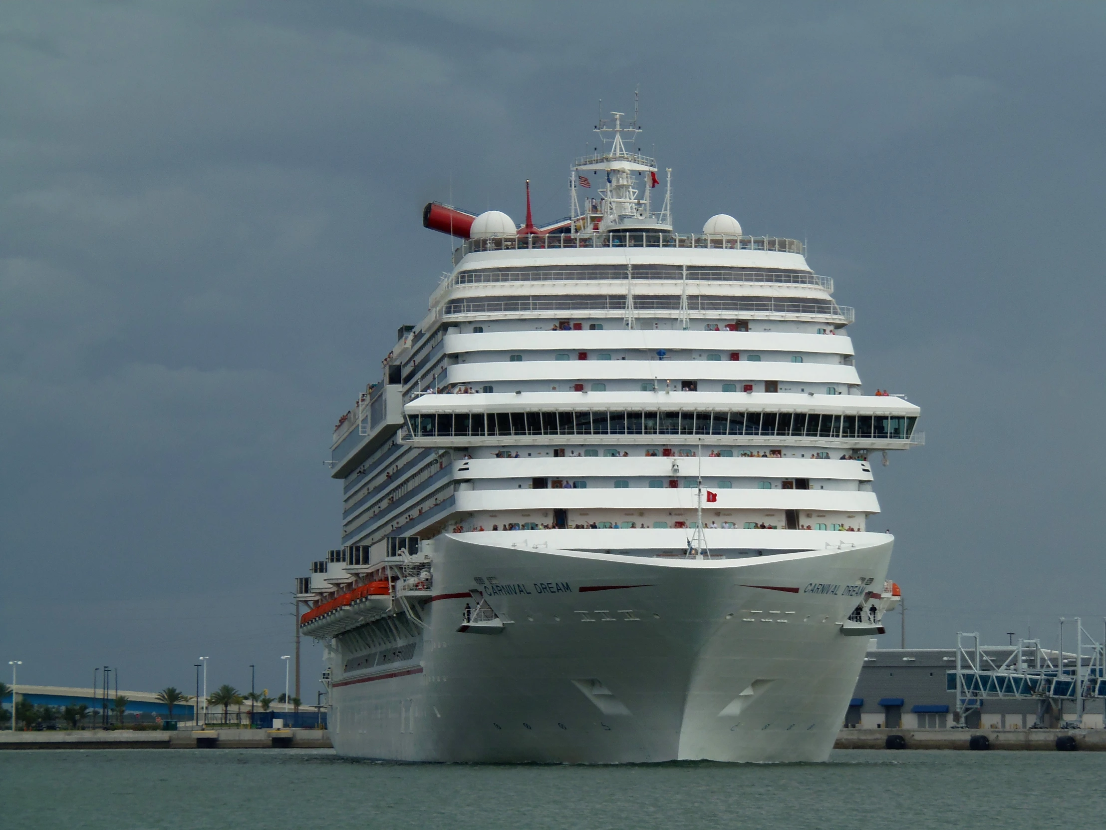 a large white cruise ship in a body of water