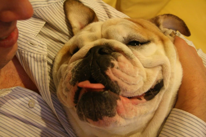 the man holds up his bulldog as he smiles