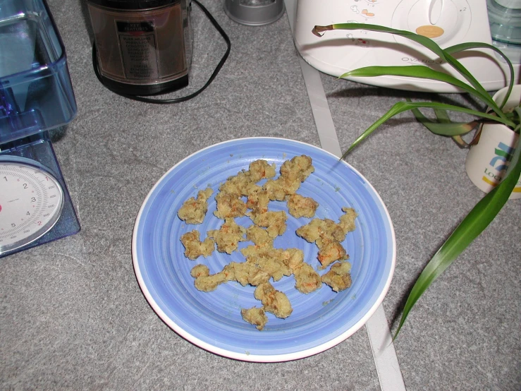 there is a plate with dog biscuits on it