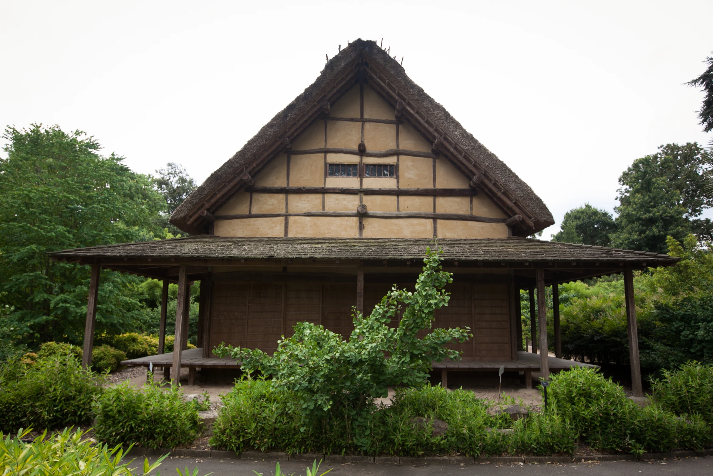 a japanese house with a thatched roof is set among some vegetation