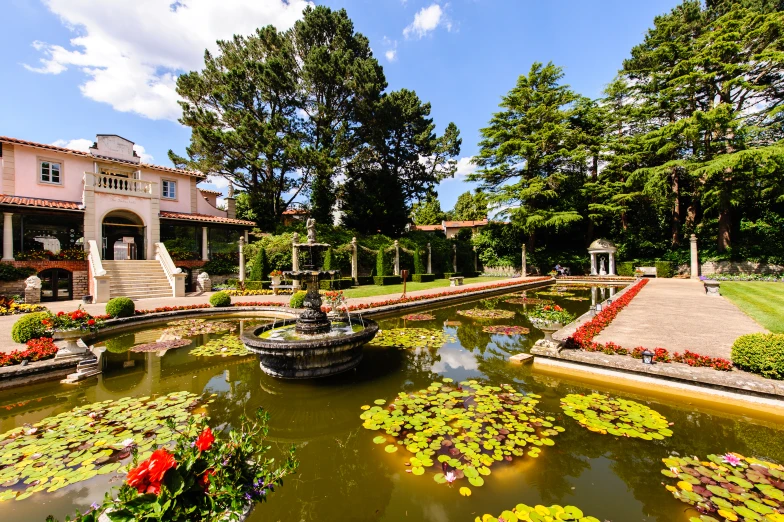 a building in the background surrounded by water lilies