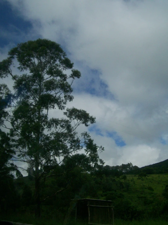 a lonely tree in the foreground with hills and sky in the background