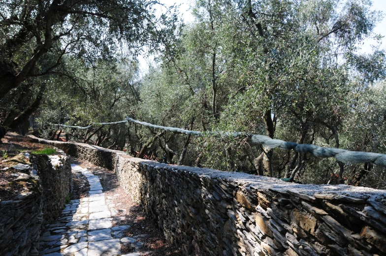 the bridge is surrounded by stone and trees