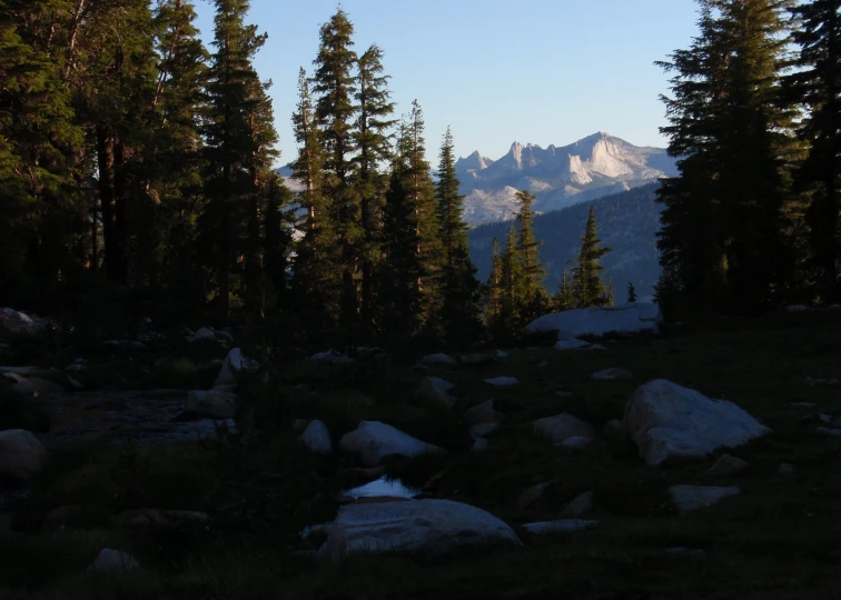 a rocky area with some trees near by