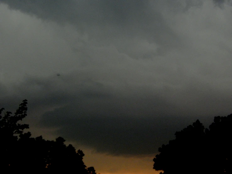 an airplane is flying over trees on a cloudy day