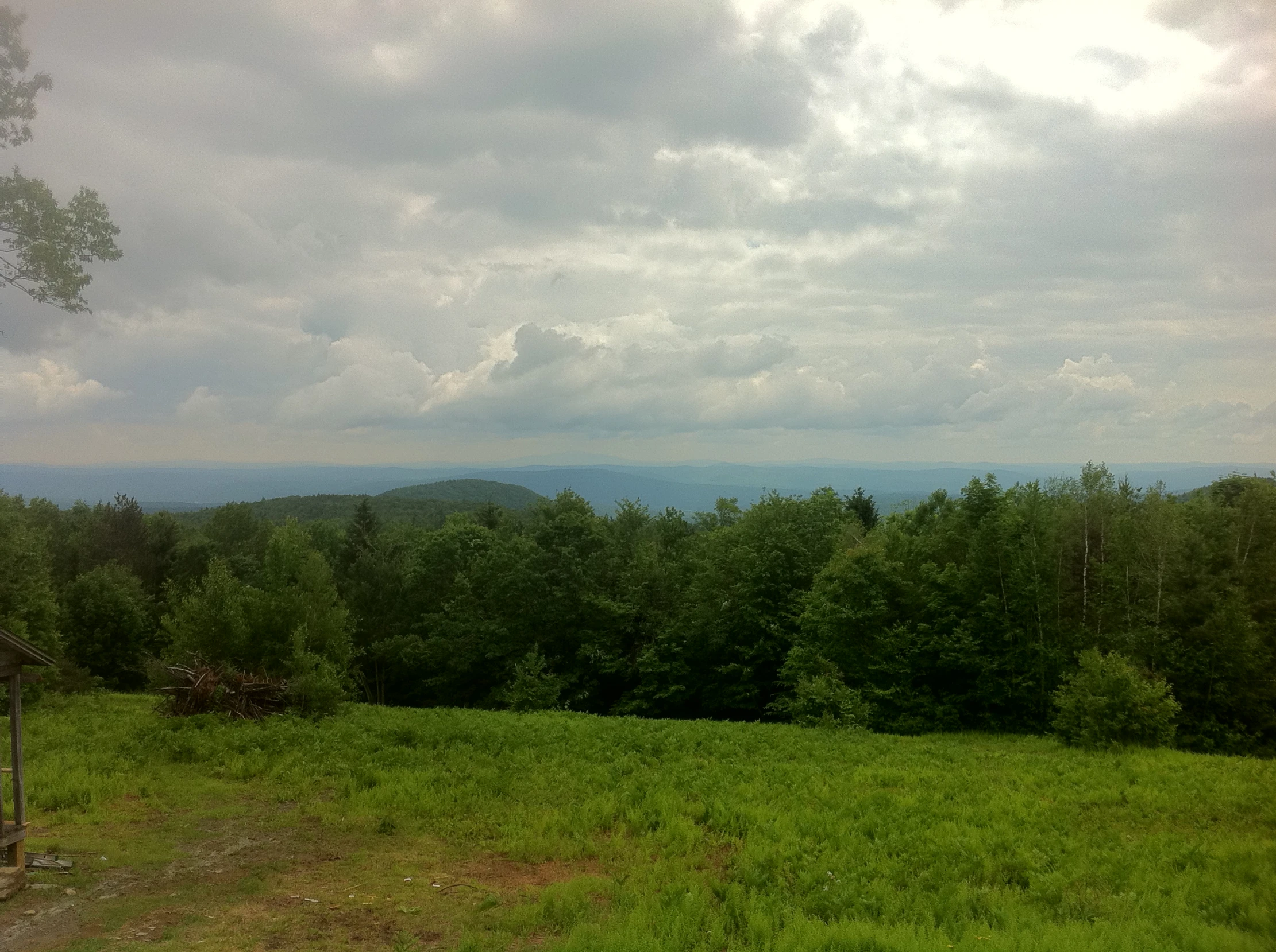 the view of the trees from a hill in a forest