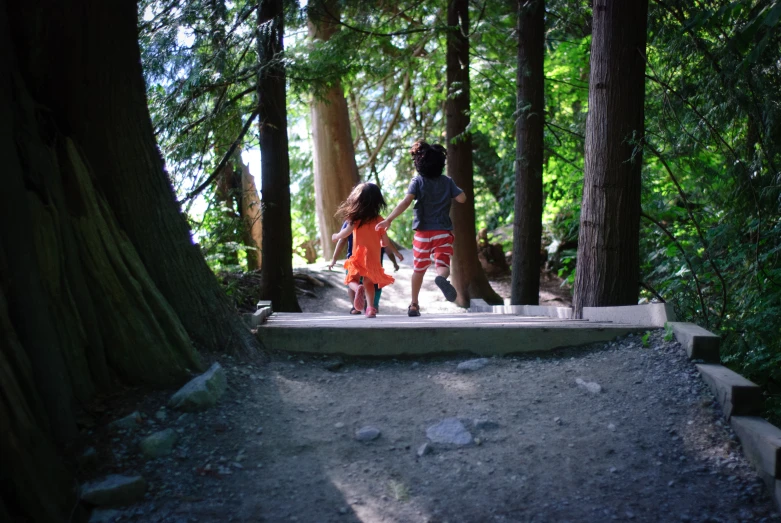 two s walking down the path through a forest