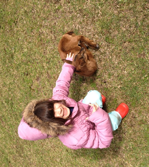 little girl in a pink jacket pets her puppy rabbit