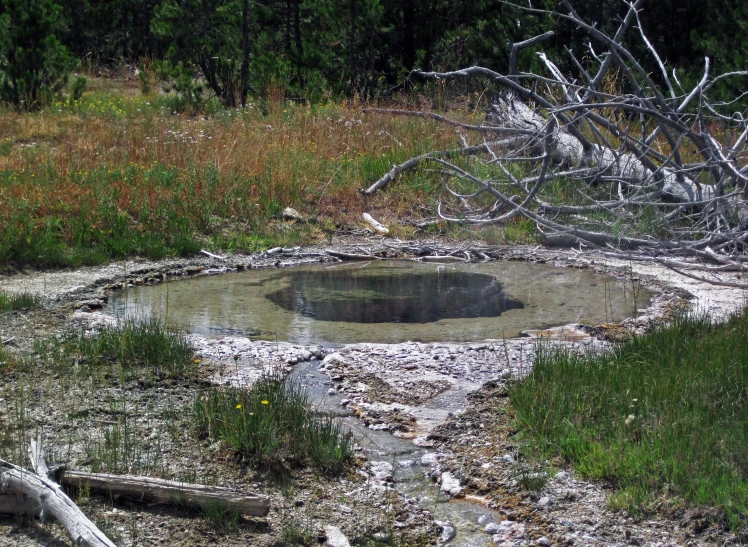 a small pool sits in a muddy field