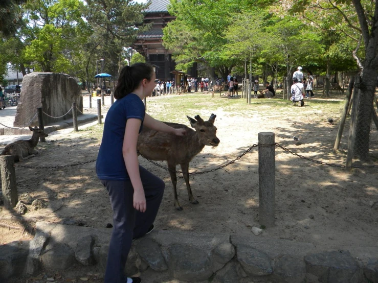 a woman leaning down to pet a small deer