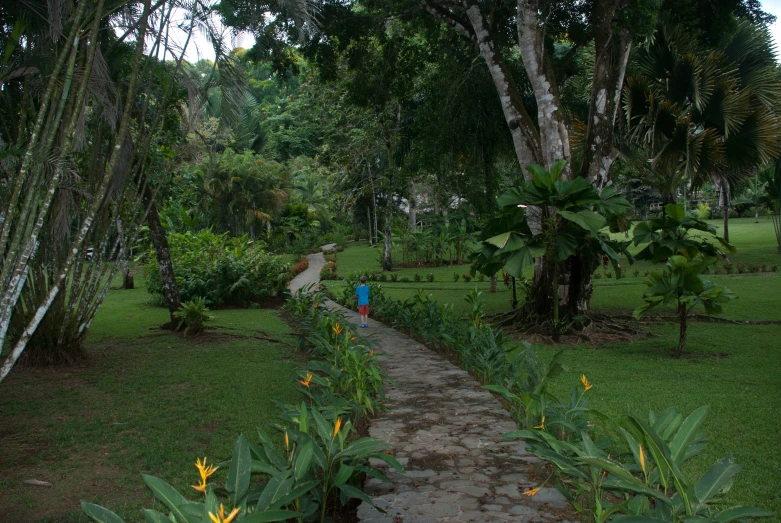 an path with brick pathway in park setting