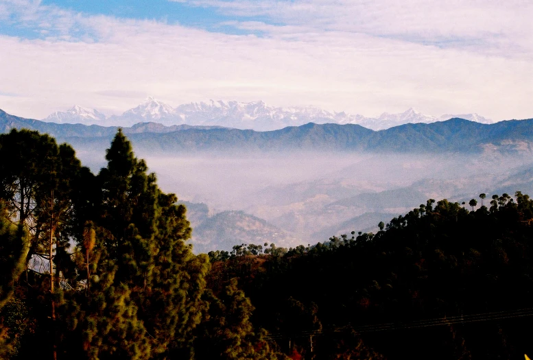 the mountain is covered with snow and trees