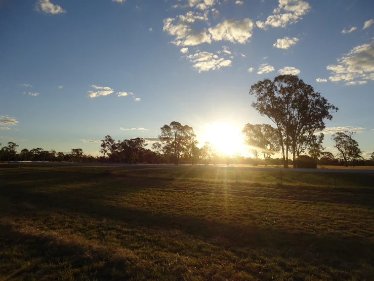 the sun is setting over a grassy field