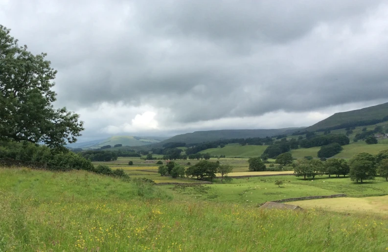 a field and a cloudy sky as seen from an area in the country