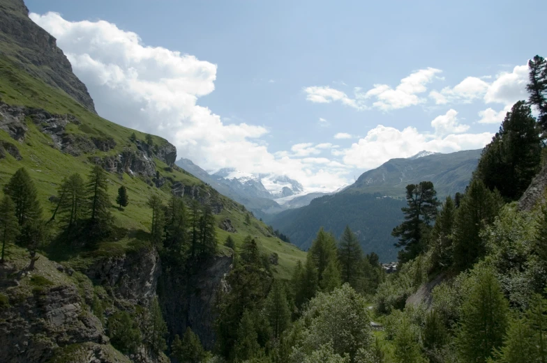 a green hillside with a mountain in the background