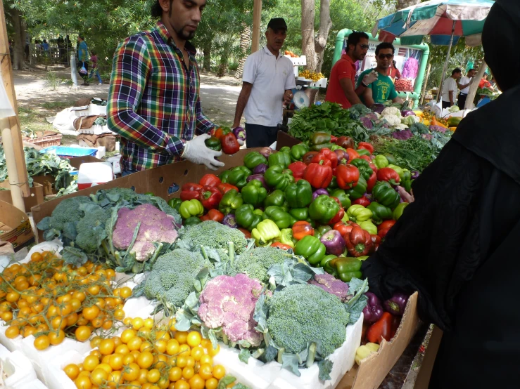 a vegetable stand is displayed with veggies and tomatoes