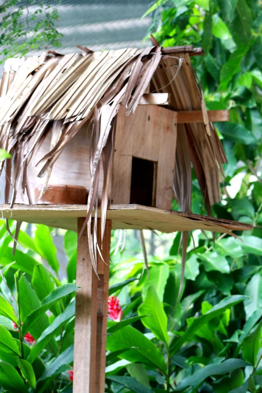 a small birdhouse made from sticks in some greenery