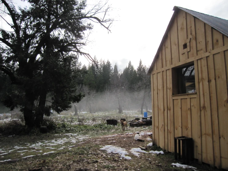 a po taken from the outside of a barn with snow on the ground