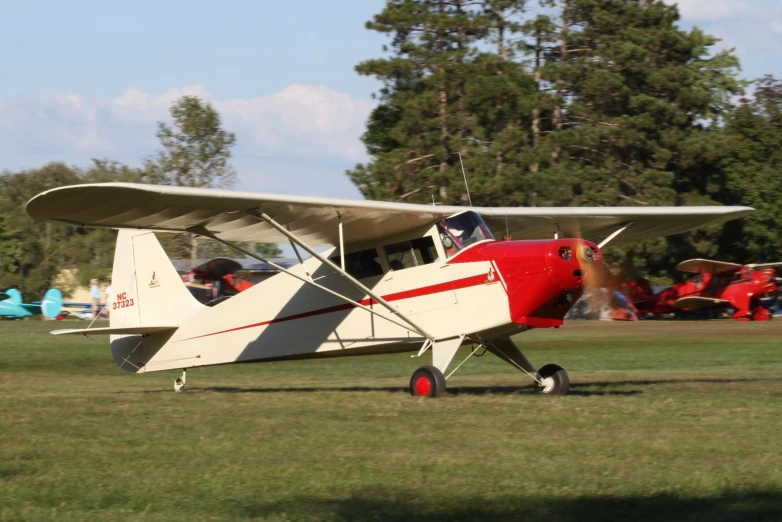 an airplane parked in the grass at a park