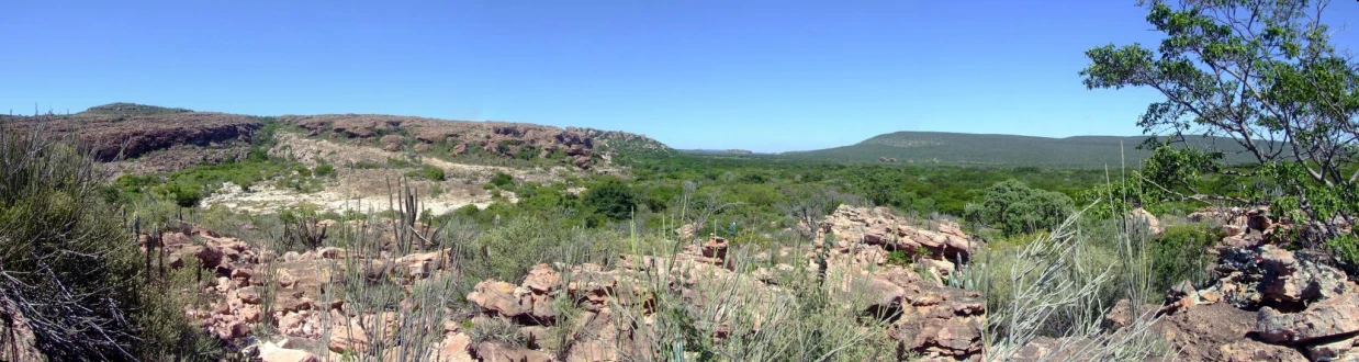 a mountain with a rocky landscape and lots of plants