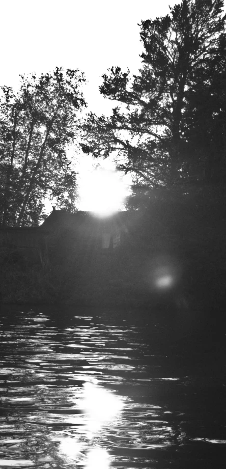 the sun sets behind some trees over a lake