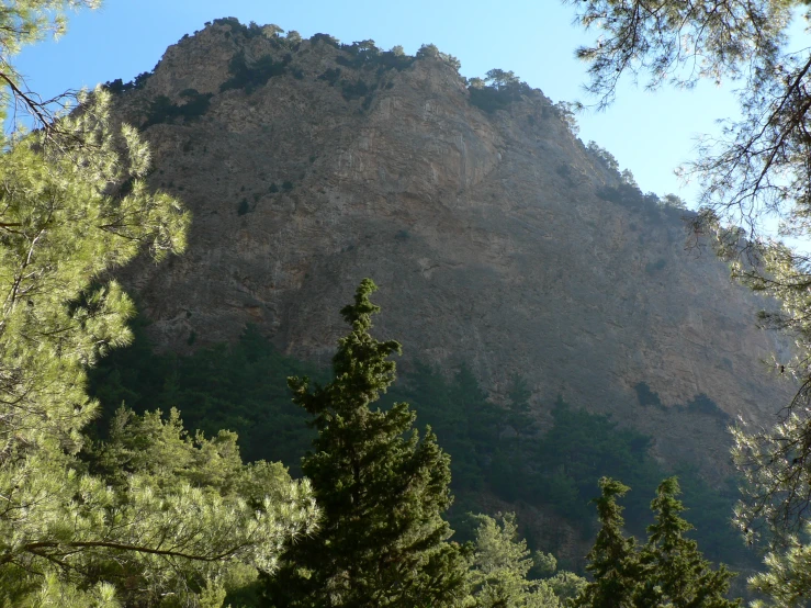 some trees and mountains against a blue sky