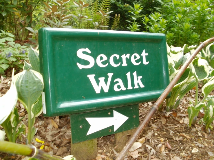 a sign in the middle of leaves pointing to a secret walk