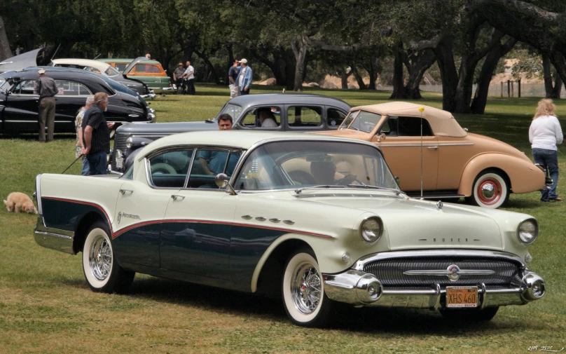 people and vintage cars sit parked on the grass