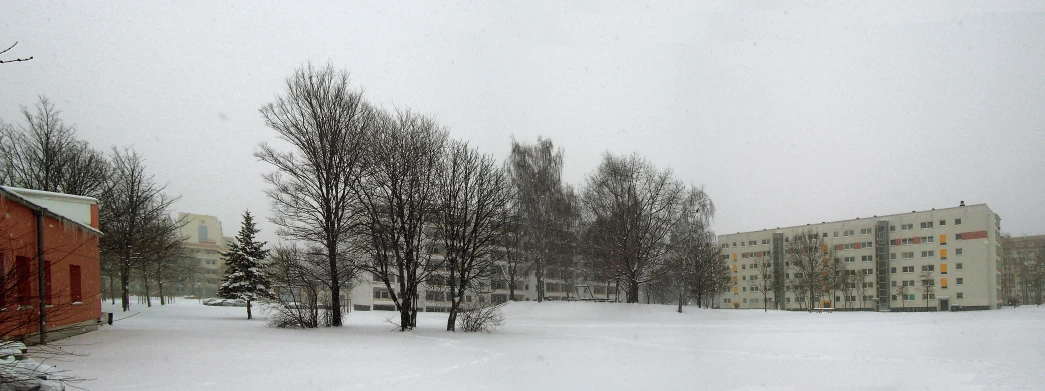 a view of some very snow covered trees in a city