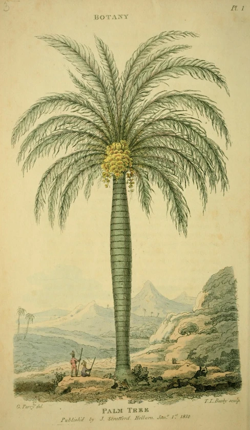 a painting with palm tree near another one