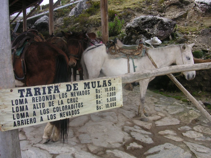 a sign attached to the posts saying that mules are for sale