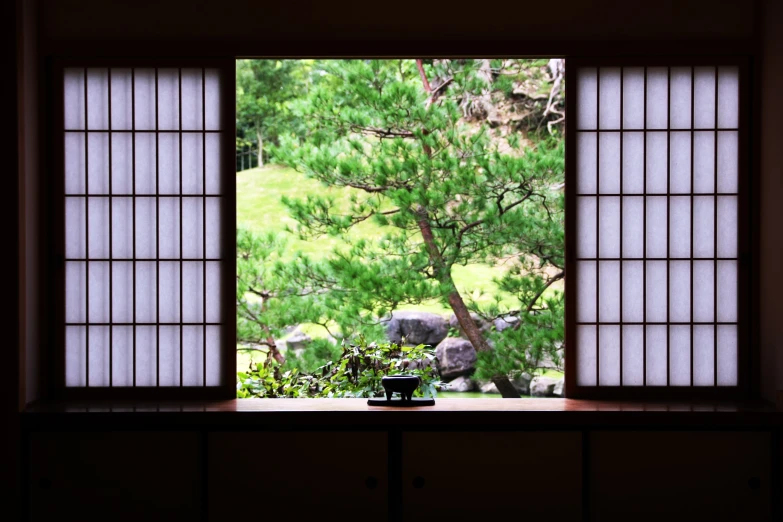 a window with view of tree and rock