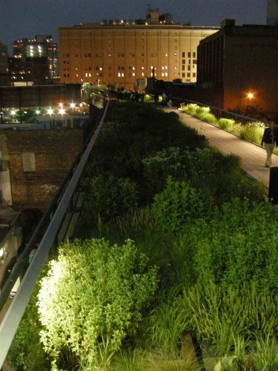 a view of a night time sky line