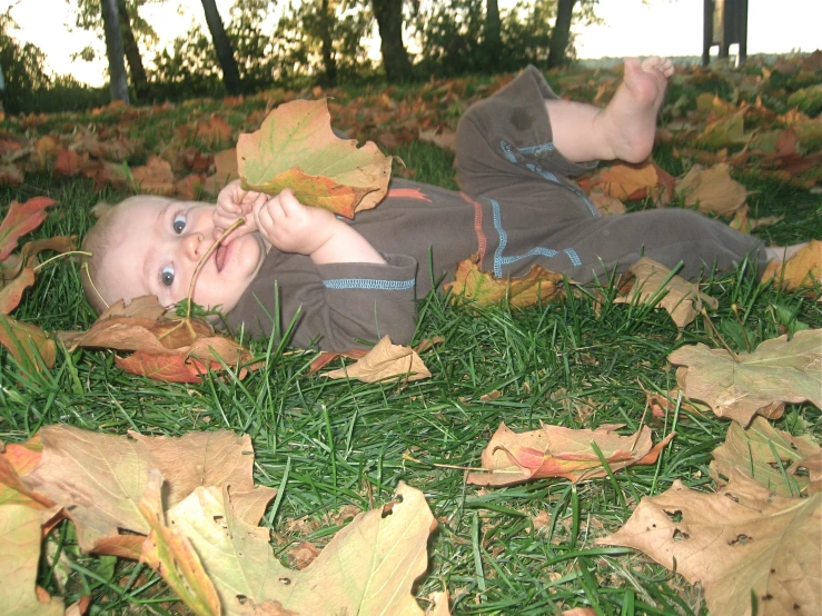 a baby laying in the grass on top of leaves