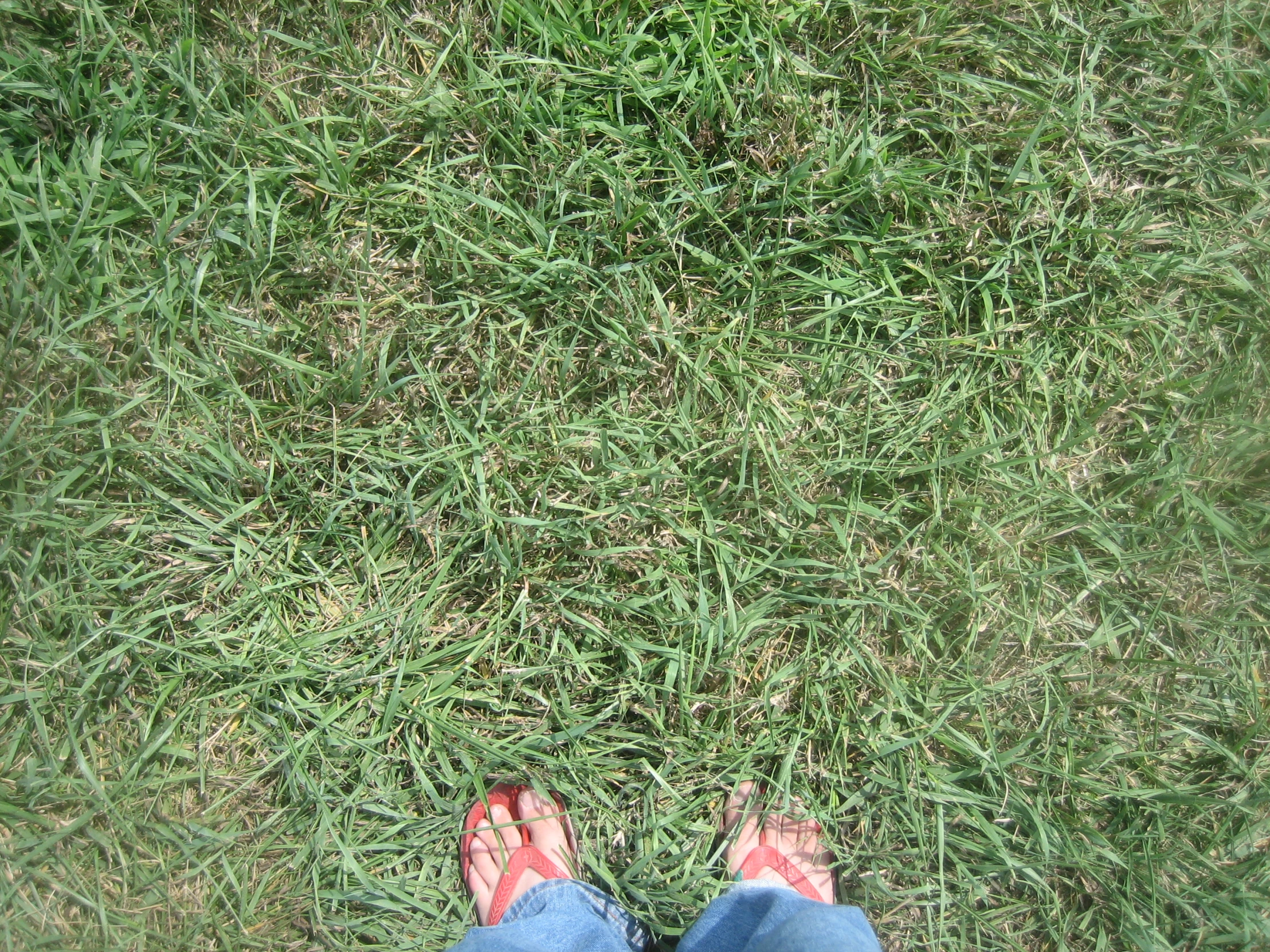 legs in the grass with one person on each side